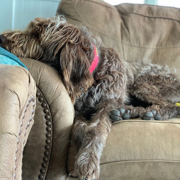 Meet your Posher, Bill - Picture 2 of 3